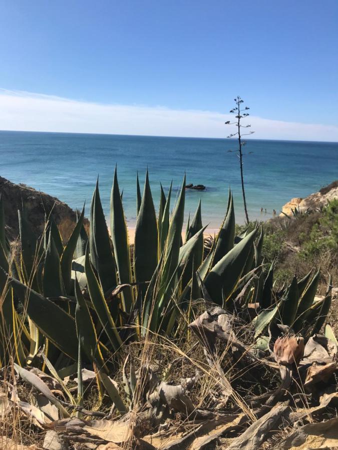 Apartamento Nid De Reve Armação de Pêra Exterior foto